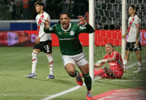 Palmeiras River Libertadores
